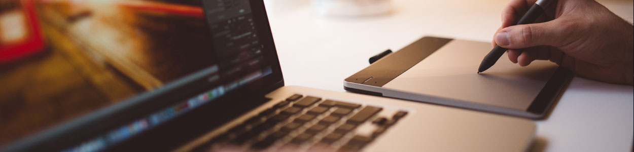 Web Sitesi Tasarımı